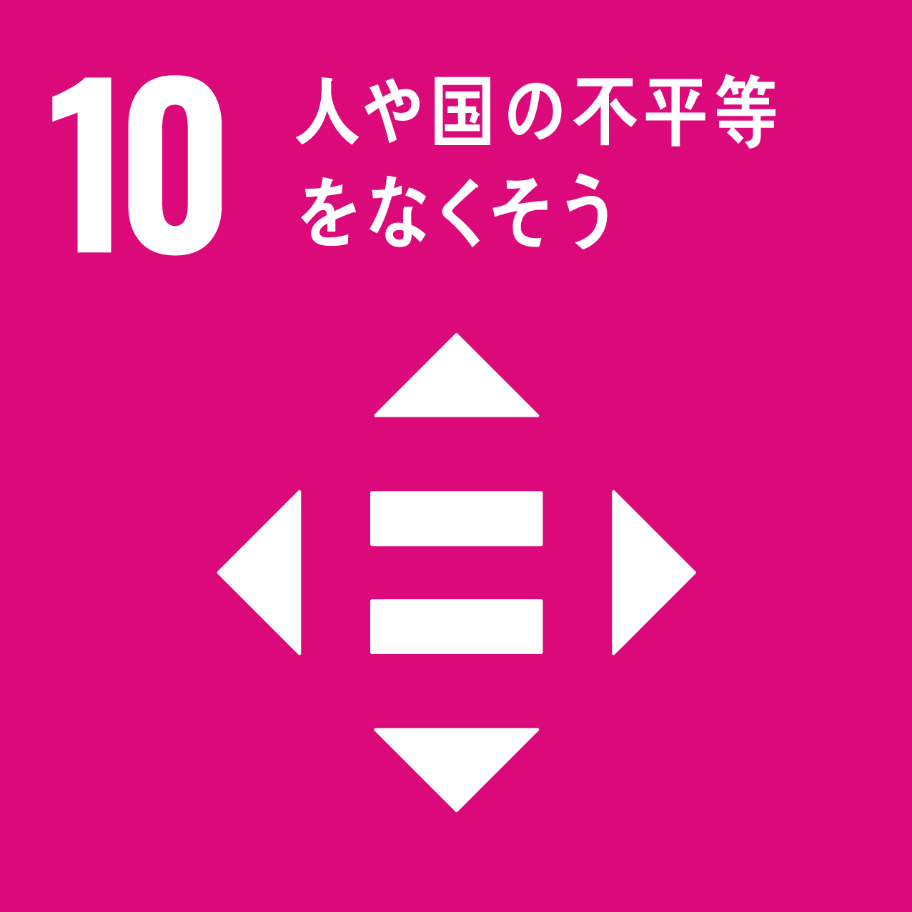 SDGs 10 l⍑̕sȂ